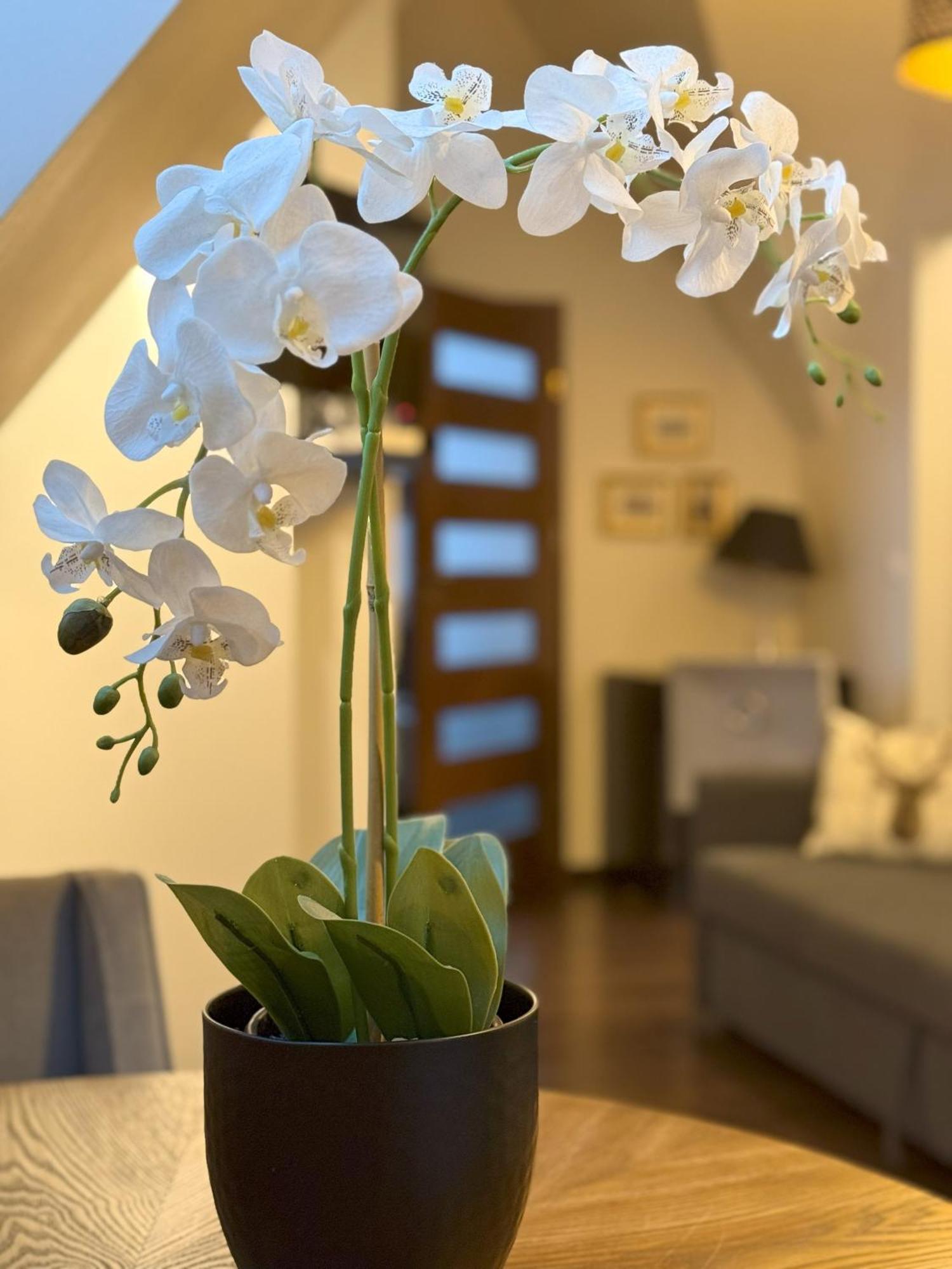 Apartament Glamour I Ζακοπάνε Εξωτερικό φωτογραφία